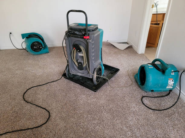 Trusted Woodland Park, CO Water damage restoration Experts