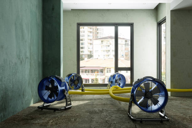 Best Water damage contractors near me  in Woodland Park, CO